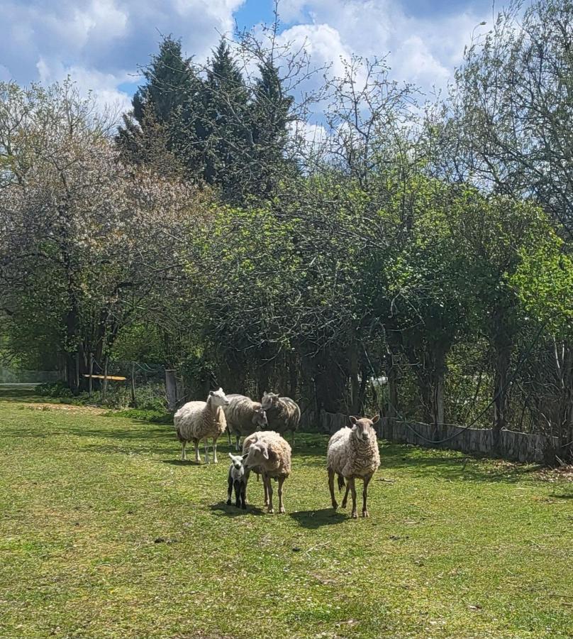 Gite Du Gardoir Boresse-et-Martron Luaran gambar